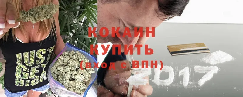 Cocaine Columbia  kraken как войти  Змеиногорск 