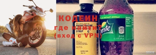 прущие грибы Медногорск