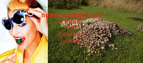 метадон Алагир