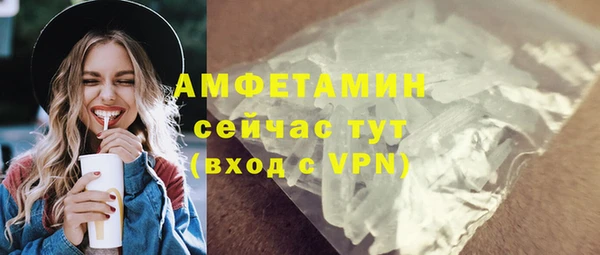 прущие грибы Медногорск