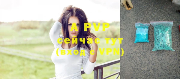 spice Медвежьегорск