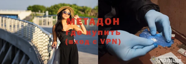 прущие грибы Медногорск