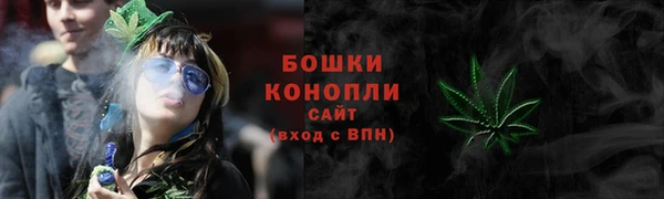 прущие грибы Медногорск