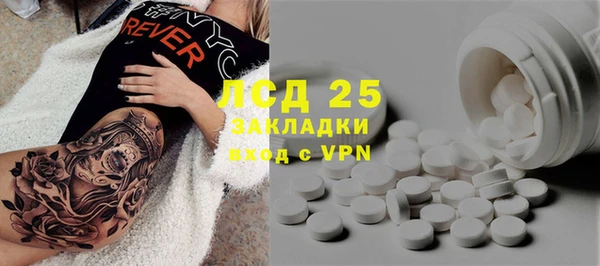 прущие грибы Медногорск